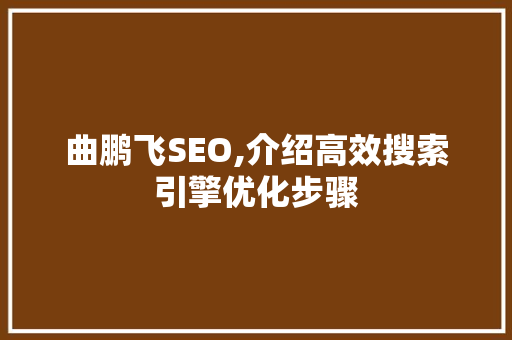 曲鹏飞SEO,介绍高效搜索引擎优化步骤 百度SEO 曲鹏飞SEO,介绍高效搜索引擎优化步骤 百度SEO
