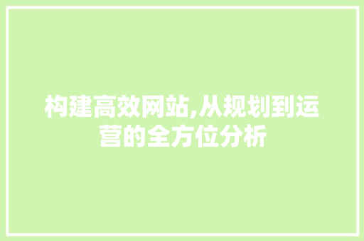 构建高效网站,从规划到运营的全方位分析
