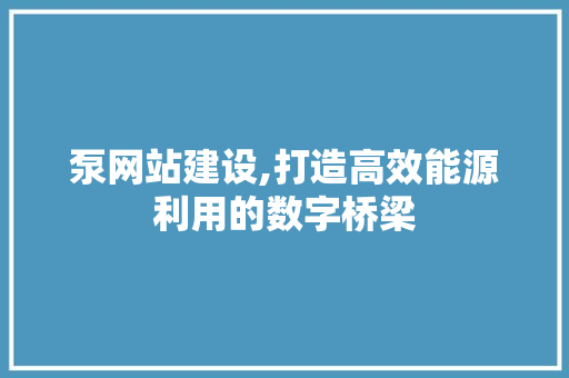 泵网站建设,打造高效能源利用的数字桥梁 GoogleSEO
