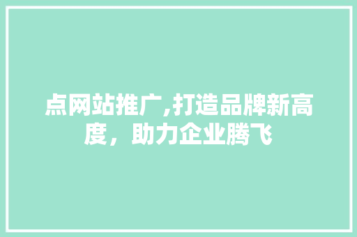 点网站推广,打造品牌新高度，助力企业腾飞 神马SEO