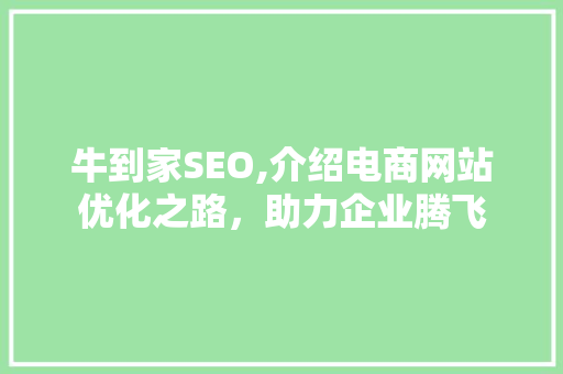 牛到家SEO,介绍电商网站优化之路，助力企业腾飞 百度SEO
