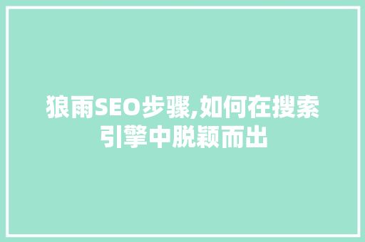 狼雨SEO步骤,如何在搜索引擎中脱颖而出 百度SEO