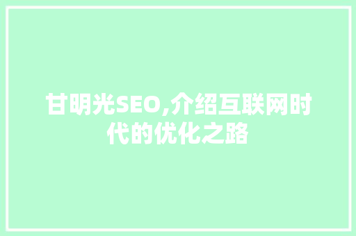 甘明光SEO,介绍互联网时代的优化之路 神马SEO