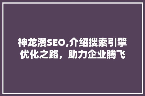 神龙漫SEO,介绍搜索引擎优化之路，助力企业腾飞 百度SEO