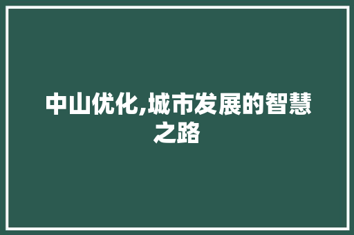 中山优化,城市发展的智慧之路