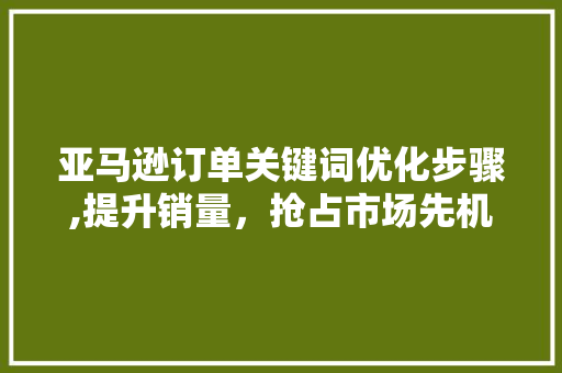 亚马逊订单关键词优化步骤,提升销量，抢占市场先机