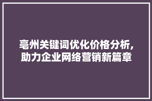 亳州关键词优化价格分析,助力企业网络营销新篇章