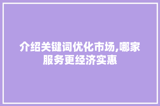 介绍关键词优化市场,哪家服务更经济实惠 神马SEO