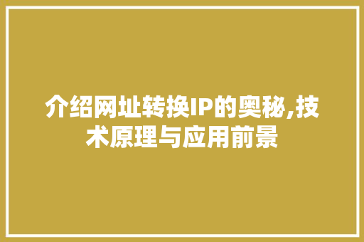介绍网址转换IP的奥秘,技术原理与应用前景