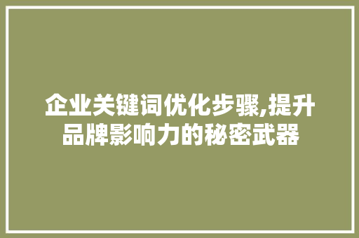 企业关键词优化步骤,提升品牌影响力的秘密武器 搜狗SEO