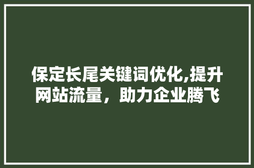 保定长尾关键词优化,提升网站流量，助力企业腾飞 百度SEO