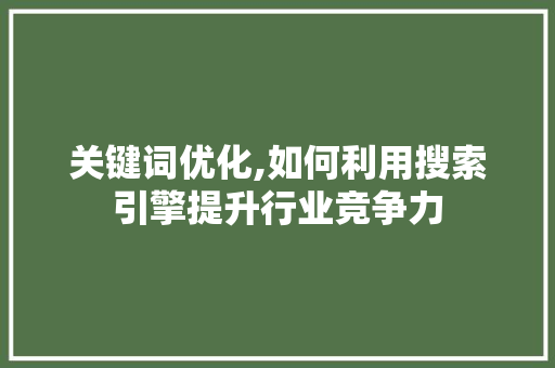 关键词优化,如何利用搜索引擎提升行业竞争力 神马SEO