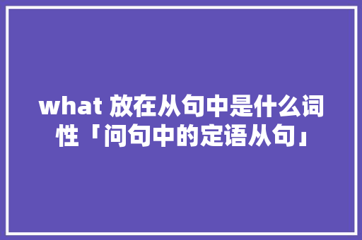 what 放在从句中是什么词性「问句中的定语从句」