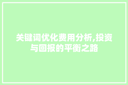 关键词优化费用分析,投资与回报的平衡之路 神马SEO