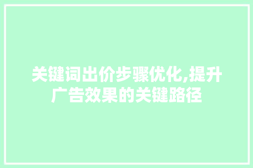 关键词出价步骤优化,提升广告效果的关键路径 GoogleSEO