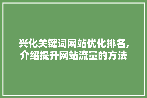 兴化关键词网站优化排名,介绍提升网站流量的方法 GoogleSEO