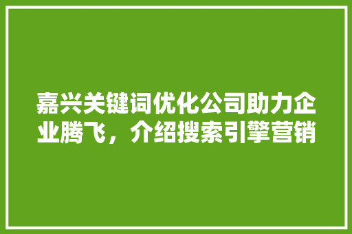 嘉兴关键词优化公司助力企业腾飞，介绍搜索引擎营销之路 百度SEO