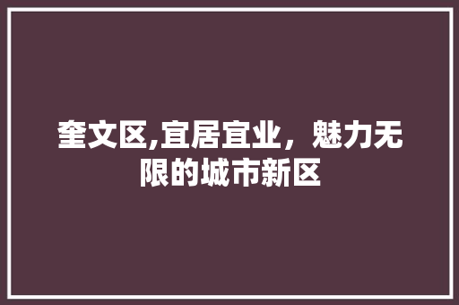 奎文区,宜居宜业，魅力无限的城市新区 未命名