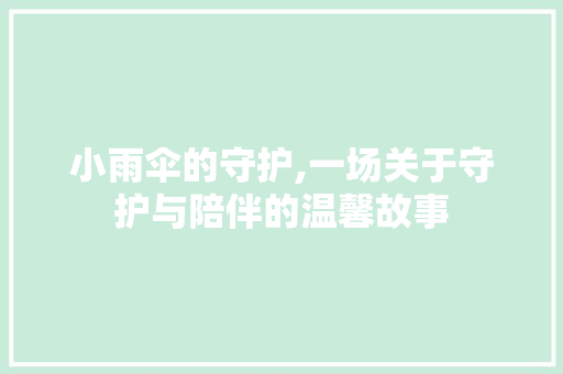 小雨伞的守护,一场关于守护与陪伴的温馨故事 必应SEO