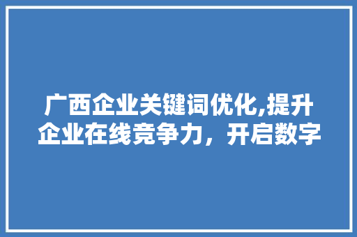 广西企业关键词优化,提升企业在线竞争力，开启数字化营销新篇章 百度SEO