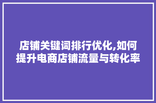 店铺关键词排行优化,如何提升电商店铺流量与转化率 百度SEO