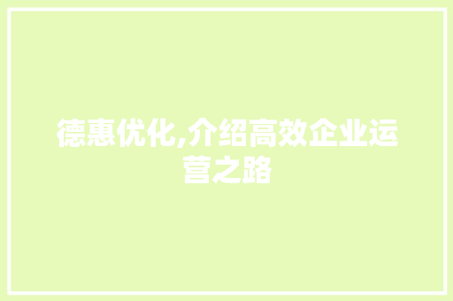 德惠优化,介绍高效企业运营之路 神马SEO