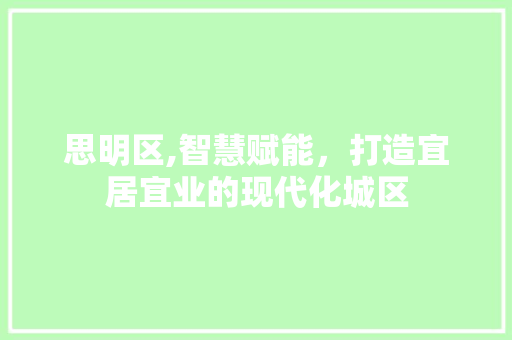 思明区,智慧赋能，打造宜居宜业的现代化城区 必应SEO