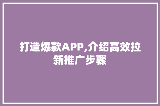 打造爆款APP,介绍高效拉新推广步骤 必应SEO