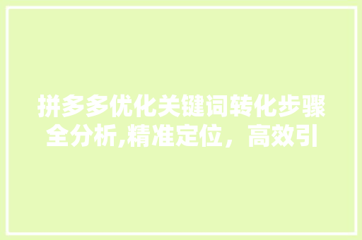 拼多多优化关键词转化步骤全分析,精准定位，高效引流 必应SEO