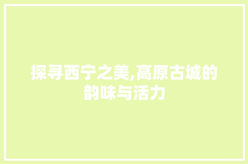 探寻西宁之美,高原古城的韵味与活力 GoogleSEO