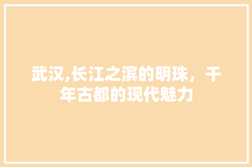 武汉,长江之滨的明珠，千年古都的现代魅力 神马SEO