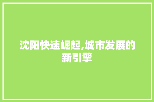 沈阳快速崛起,城市发展的新引擎 百度SEO