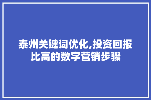 泰州关键词优化,投资回报比高的数字营销步骤 搜狗SEO