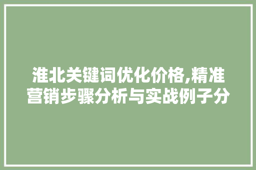 淮北关键词优化价格,精准营销步骤分析与实战例子分享