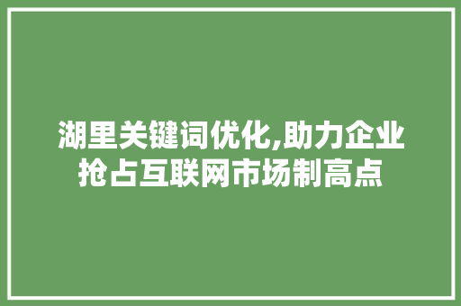 湖里关键词优化,助力企业抢占互联网市场制高点 必应SEO