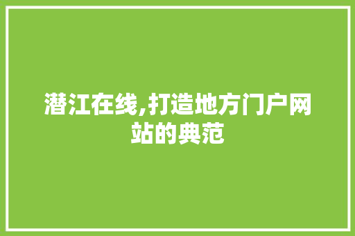 潜江在线,打造地方门户网站的典范 神马SEO