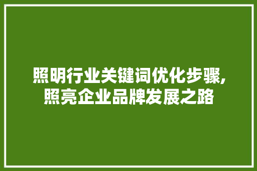 照明行业关键词优化步骤,照亮企业品牌发展之路 搜狗SEO