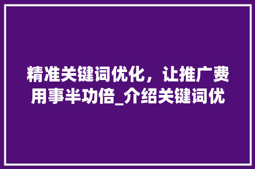 精准关键词优化，让推广费用事半功倍_介绍关键词优化推广费用之谜 百度SEO