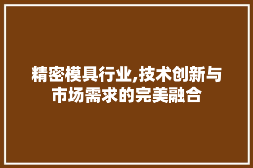 精密模具行业,技术创新与市场需求的完美融合 GoogleSEO