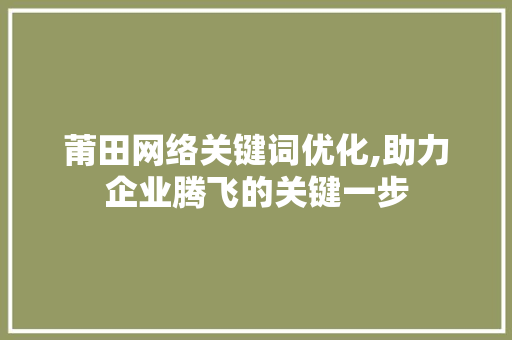 莆田网络关键词优化,助力企业腾飞的关键一步 神马SEO