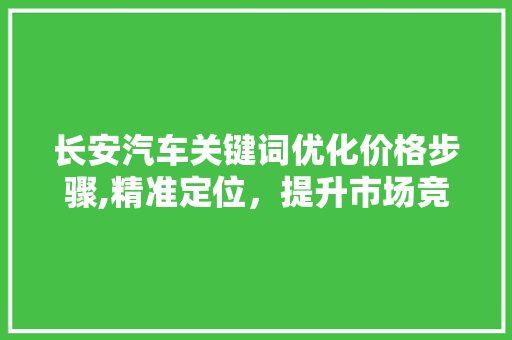 长安汽车关键词优化价格步骤,精准定位，提升市场竞争力