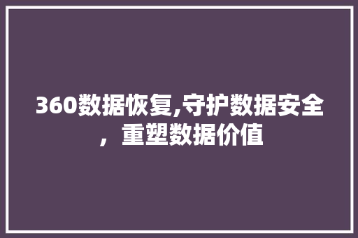 360数据恢复,守护数据安全，重塑数据价值 GoogleSEO