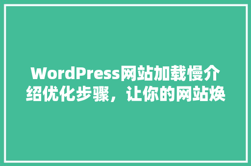 WordPress网站加载慢介绍优化步骤，让你的网站焕发速度与活力！ 必应SEO