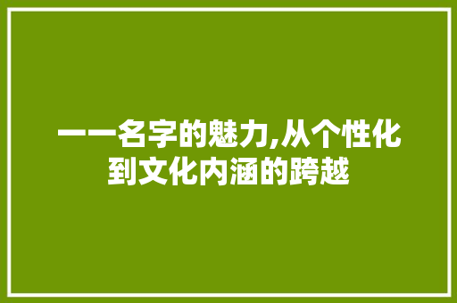 一一名字的魅力,从个性化到文化内涵的跨越 神马SEO
