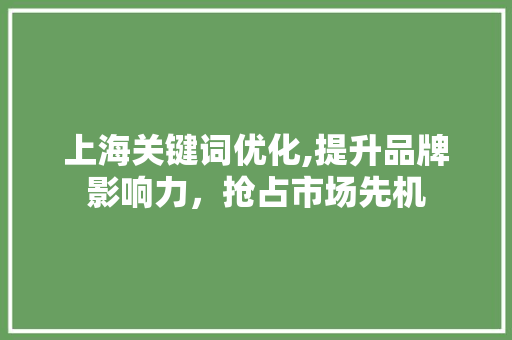 上海关键词优化,提升品牌影响力，抢占市场先机 百度SEO