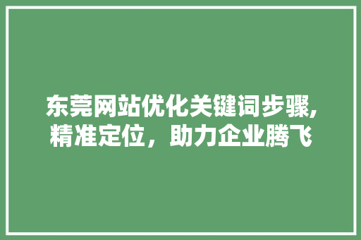 东莞网站优化关键词步骤,精准定位，助力企业腾飞 GoogleSEO