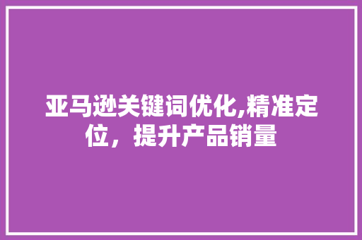 亚马逊关键词优化,精准定位，提升产品销量 GoogleSEO