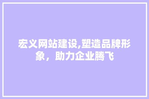 宏义网站建设,塑造品牌形象，助力企业腾飞 搜狗SEO