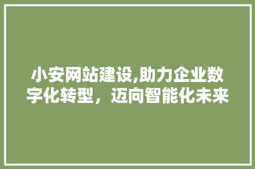 小安网站建设,助力企业数字化转型，迈向智能化未来 GoogleSEO