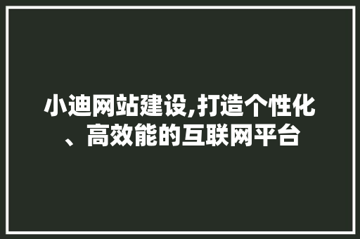 小迪网站建设,打造个性化、高效能的互联网平台 百度SEO